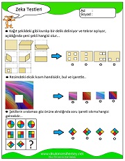 Zeka Gelişim Testleri